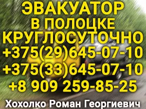 Визитка ИП Хохолко ИП Хохолко