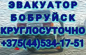 Визитка ИП Воробьев ИП Воробьев