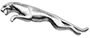 Jaguar Jaguar